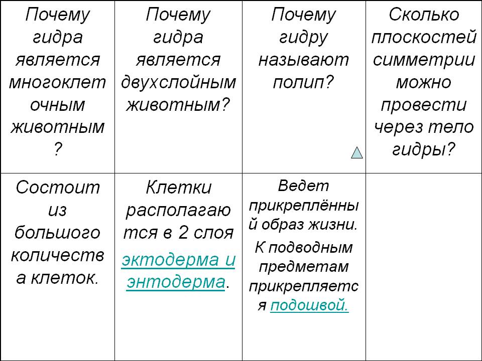 Kra39.cc