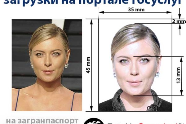 Даркнет вход