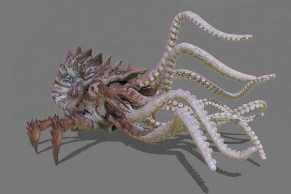 Kraken market3