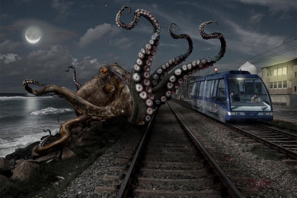 Kraken darknet marketplace