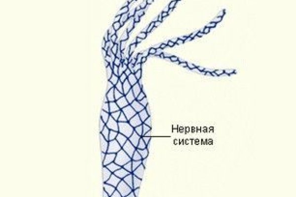 Kraken online